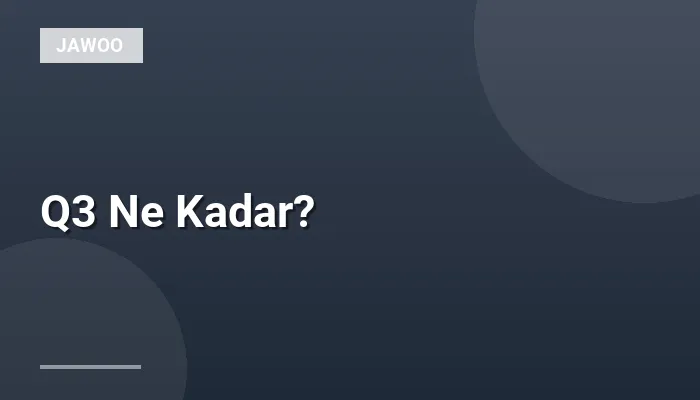 Q3 Ne Kadar?