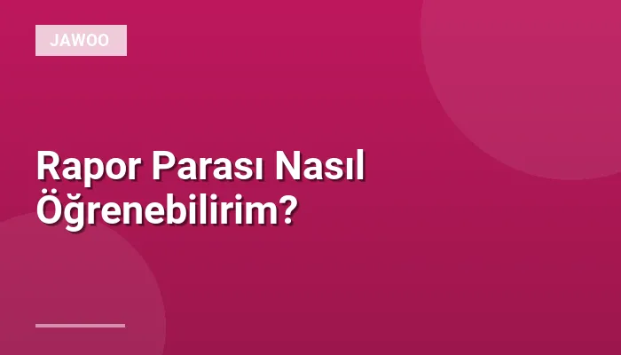 Rapor Parası Nasıl Öğrenebilirim?