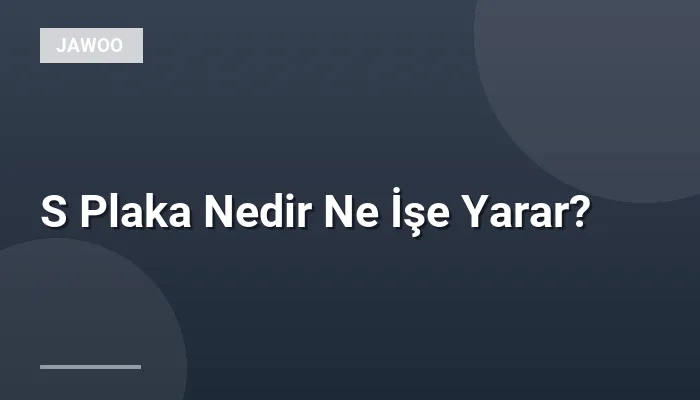 S Plaka Nedir Ne İşe Yarar?