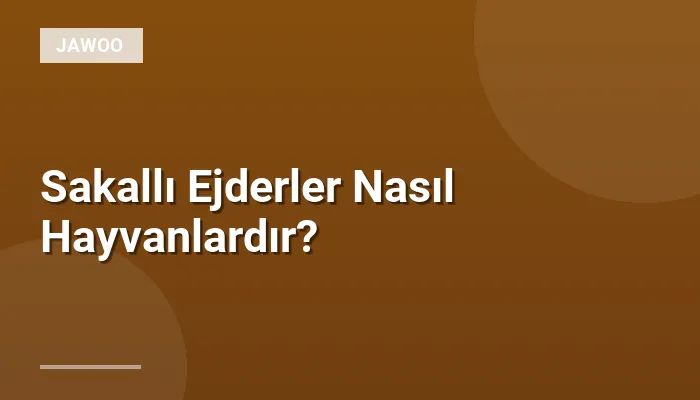 Sakallı Ejderler Nasıl Hayvanlardır?