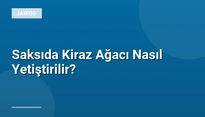 Saksıda Kiraz Ağacı Nasıl Yetiştirilir?