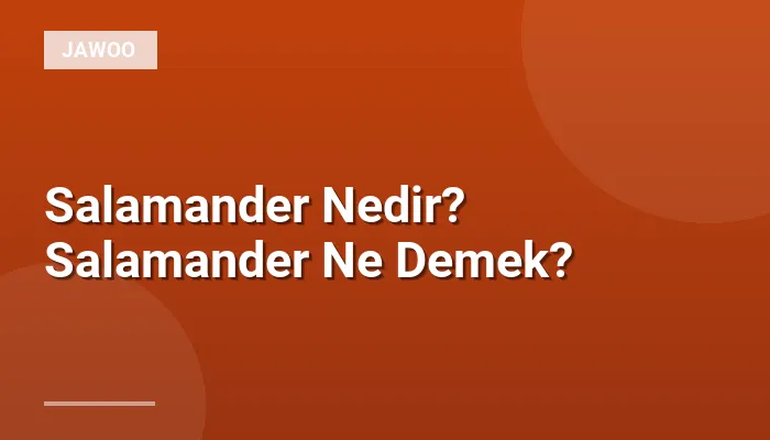 Salamander Nedir? Salamander Ne Demek?