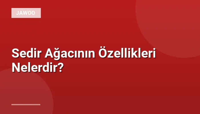 Sedir Ağacının Özellikleri Nelerdir?