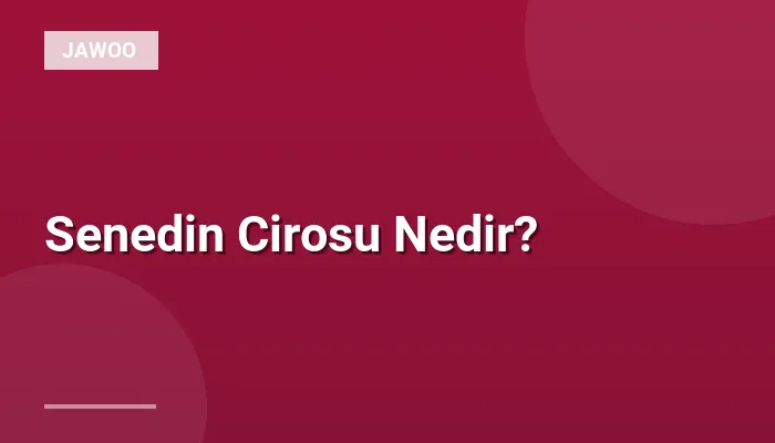 Senedin Cirosu Nedir?