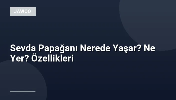 Sevda Papağanı Nerede Yaşar? Ne Yer? Özellikleri