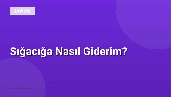 Sığacığa Nasıl Giderim?