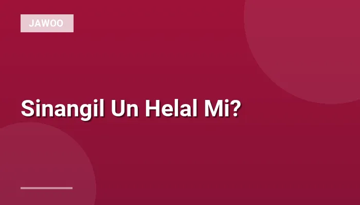 Sinangil Un Helal Mi?