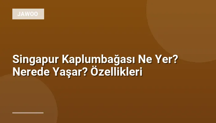 Singapur Kaplumbağası Ne Yer? Nerede Yaşar? Özellikleri