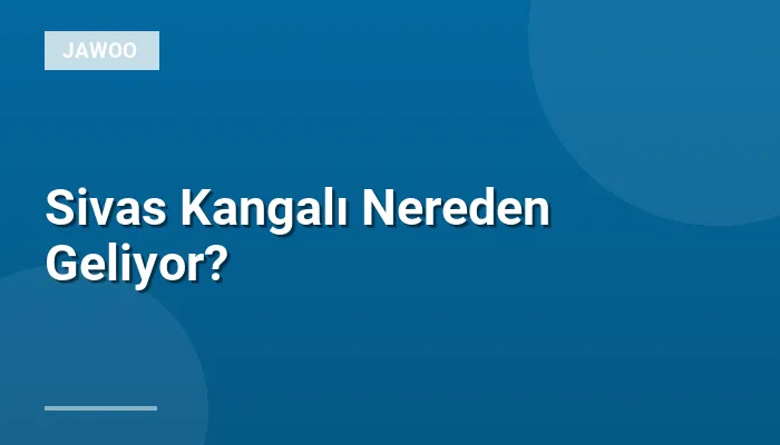 Sivas Kangalı Nereden Geliyor?