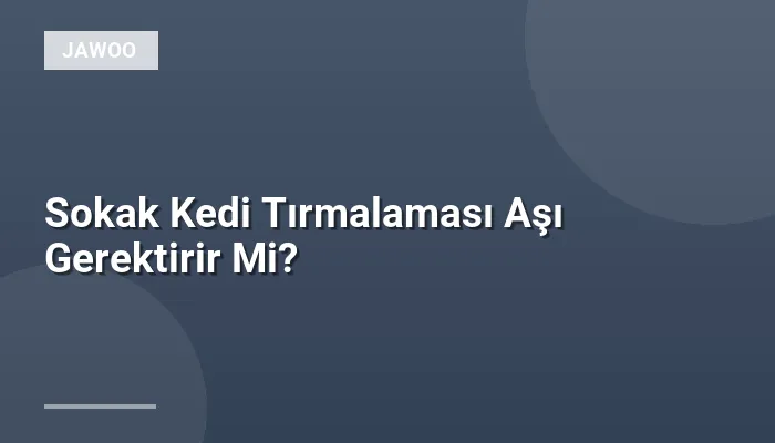 Sokak Kedi Tırmalaması Aşı Gerektirir Mi?