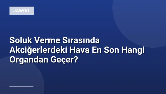 Soluk Verme Sırasında Akciğerlerdeki Hava En Son Hangi Organdan Geçer?