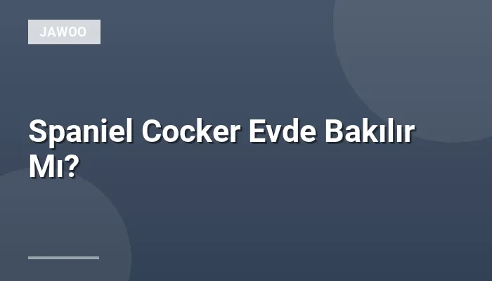 Spaniel Cocker Evde Bakılır Mı?