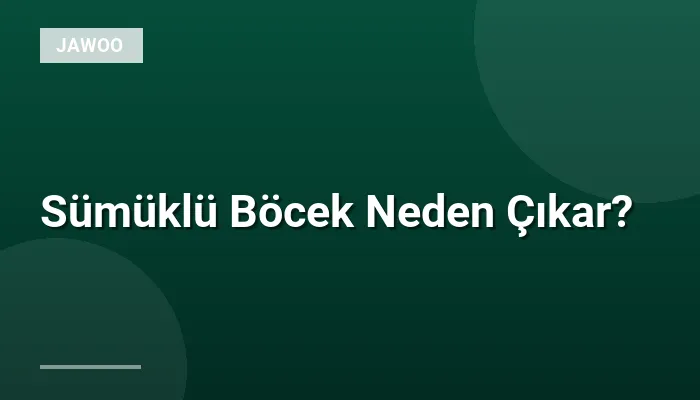 Sümüklü Böcek Neden Çıkar?
