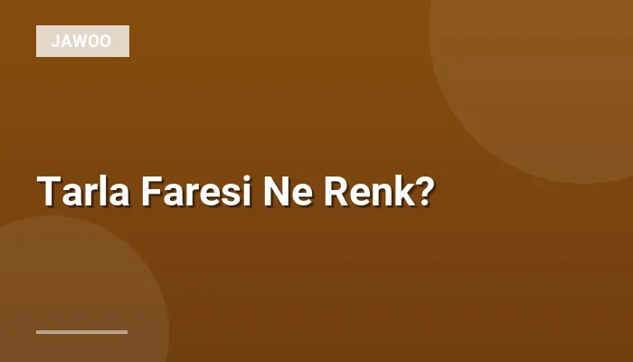 Tarla Faresi Ne Renk?