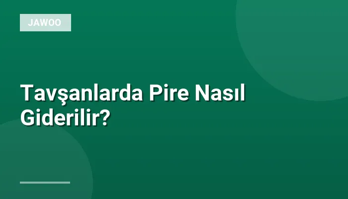 Tavşanlarda Pire Nasıl Giderilir?