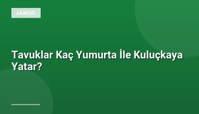 Tavuklar Kaç Yumurta İle Kuluçkaya Yatar?