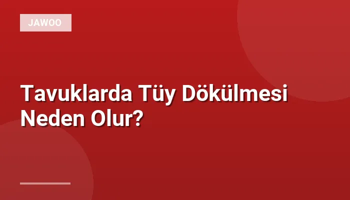 Tavuklarda Tüy Dökülmesi Neden Olur?