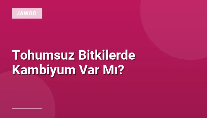Tohumsuz Bitkilerde Kambiyum Var Mı?