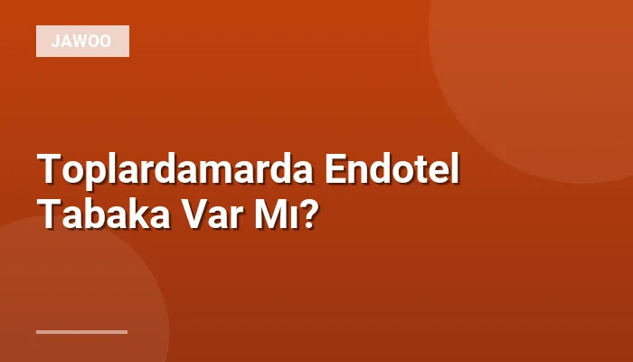 Toplardamarda Endotel Tabaka Var Mı?