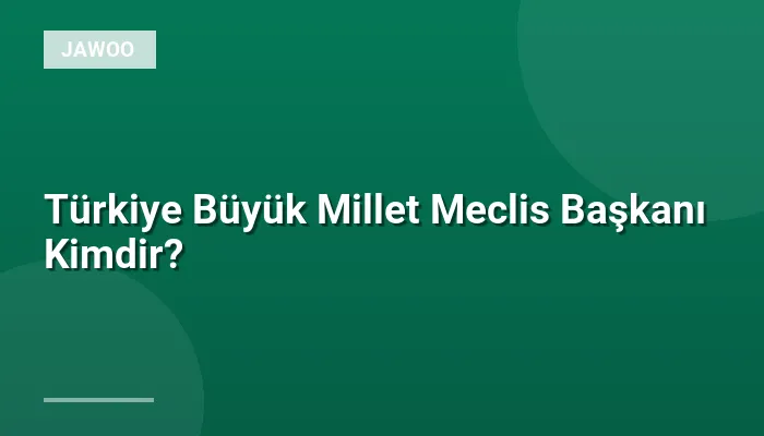 Türkiye Büyük Millet Meclis Başkanı Kimdir?