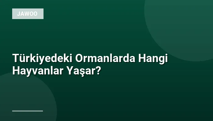 Türkiyedeki Ormanlarda Hangi Hayvanlar Yaşar?