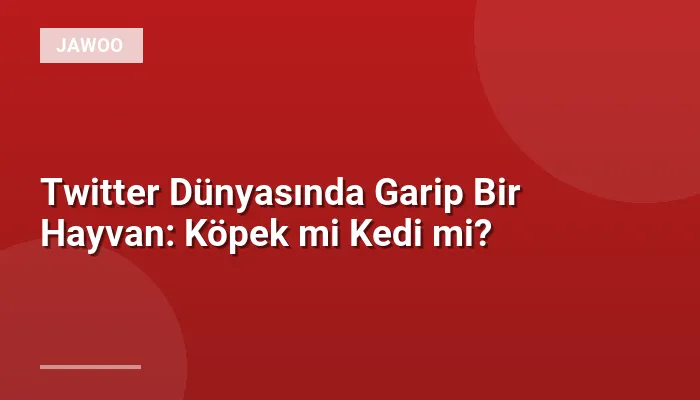 Twitter Dünyasında Garip Bir Hayvan: Köpek mi Kedi mi?