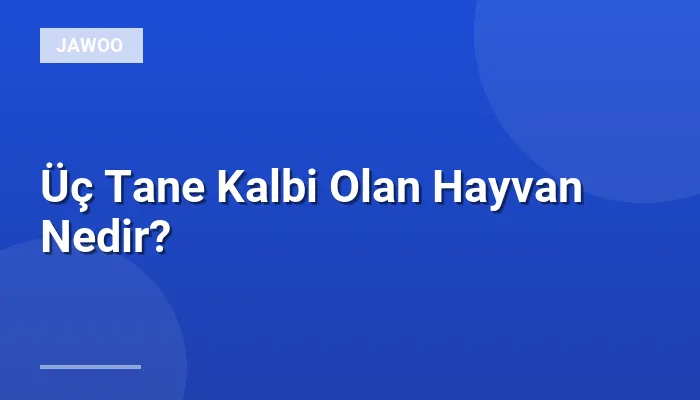 Üç Tane Kalbi Olan Hayvan Nedir?