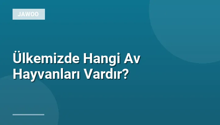 Ülkemizde Hangi Av Hayvanları Vardır?
