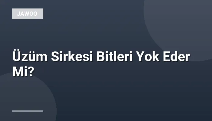 Üzüm Sirkesi Bitleri Yok Eder Mi?