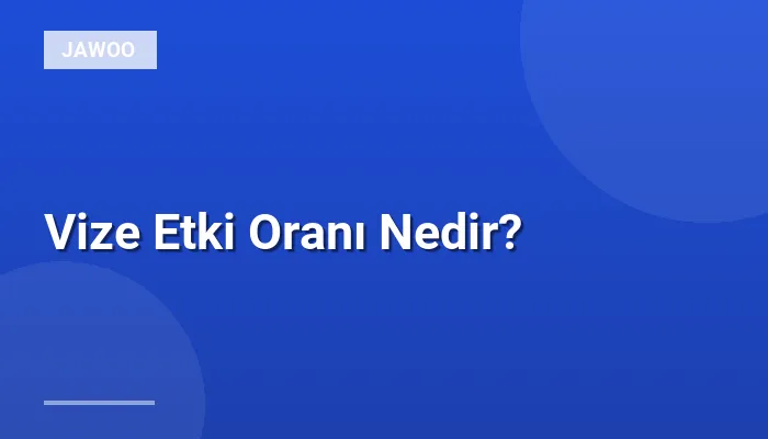 Vize Etki Oranı Nedir?
