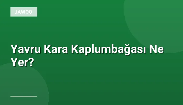 Yavru Kara Kaplumbağası Ne Yer?