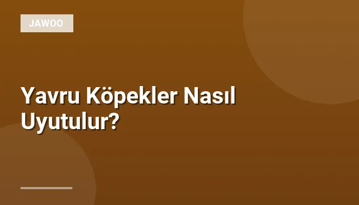 Yavru Köpekler Nasıl Uyutulur?