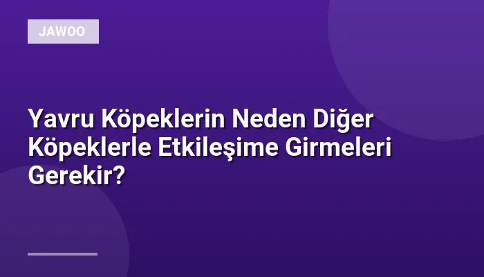 Yavru Köpeklerin Neden Diğer Köpeklerle Etkileşime Girmeleri Gerekir?