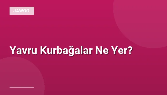 Yavru Kurbağalar Ne Yer?