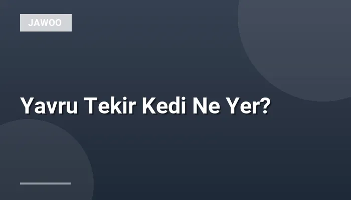 Yavru Tekir Kedi Ne Yer?