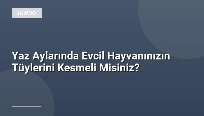Yaz Aylarında Evcil Hayvanınızın Tüylerini Kesmeli Misiniz?