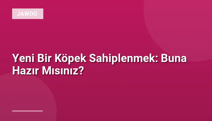 Yeni Bir Köpek Sahiplenmek: Buna Hazır Mısınız?
