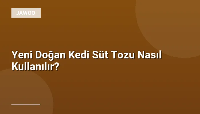 Yeni Doğan Kedi Süt Tozu Nasıl Kullanılır?