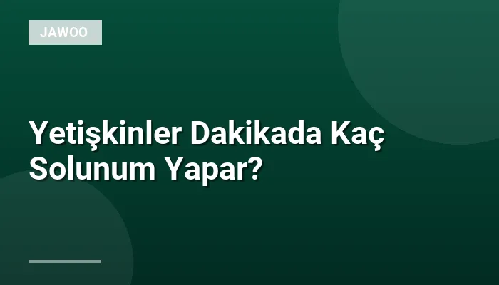 Yetişkinler Dakikada Kaç Solunum Yapar?