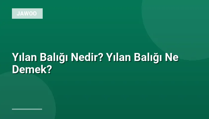 Yılan Balığı Nedir? Yılan Balığı Ne Demek?