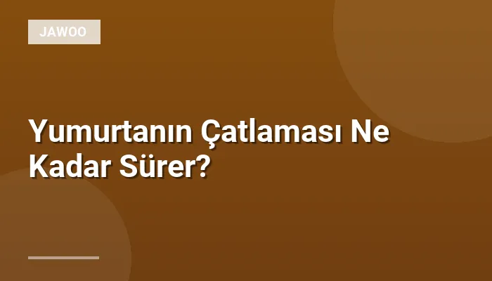 Yumurtanın Çatlaması Ne Kadar Sürer?