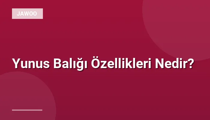 Yunus Balığı Özellikleri Nedir?