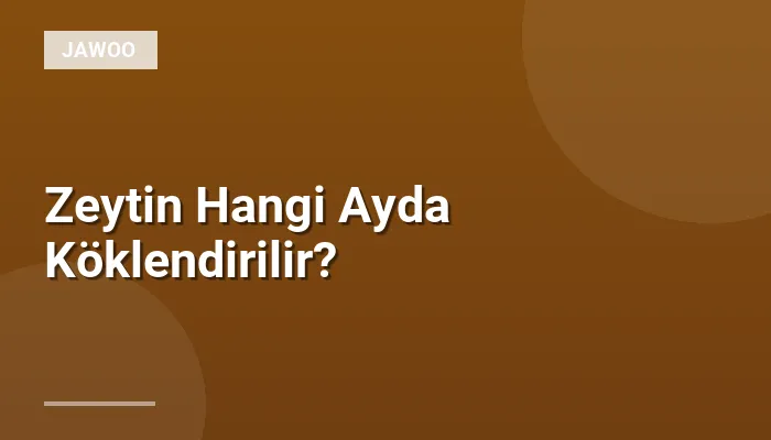 Zeytin Hangi Ayda Köklendirilir?