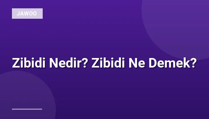 Zibidi Nedir? Zibidi Ne Demek?