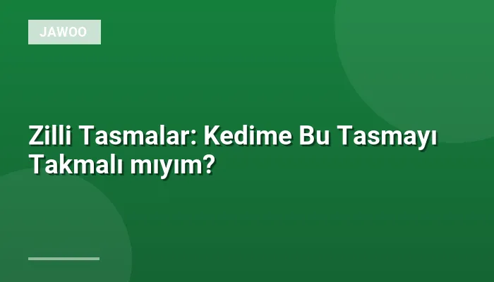Zilli Tasmalar: Kedime Bu Tasmayı Takmalı mıyım?