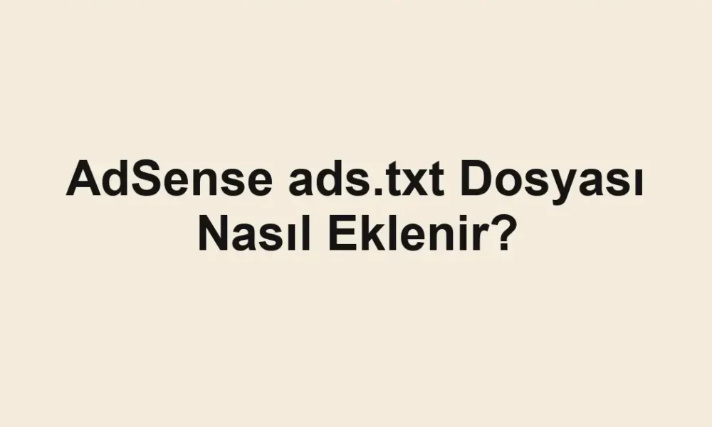 AdSense ads.txt Dosyası Nasıl Eklenir?