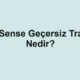 AdSense Geçersiz Trafik Nedir?