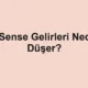 AdSense Gelirleri Neden Düşer?