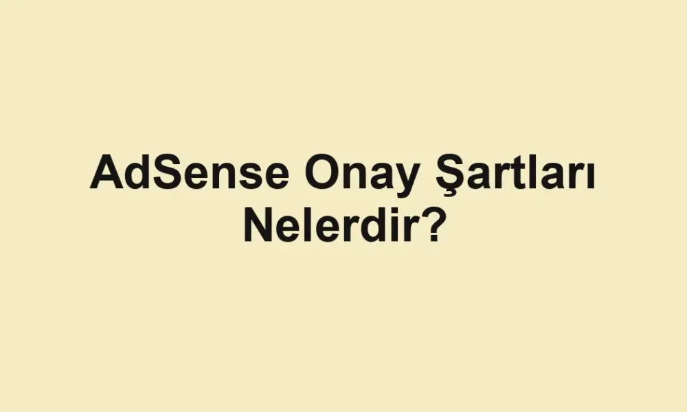 AdSense Onay Şartları Nelerdir?