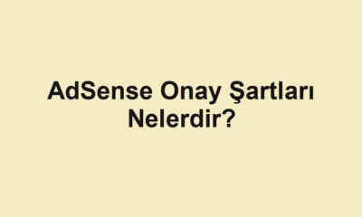 AdSense Onay Şartları Nelerdir?
